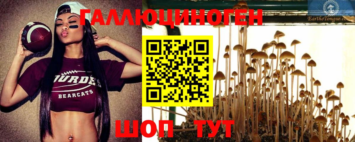 Псилоцибиновые грибы Magic Shrooms  Галлюциногенные грибы MAGIC MUSHROOMS  Вход с VPN  Асбест 