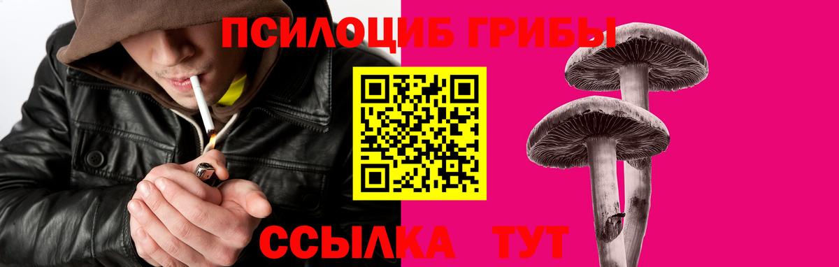 Псилоцибиновые грибы мухоморы Асбест